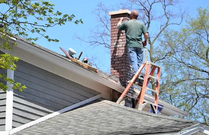 Chimney & Fireplace Inspections Services in Montgomery Village, MD